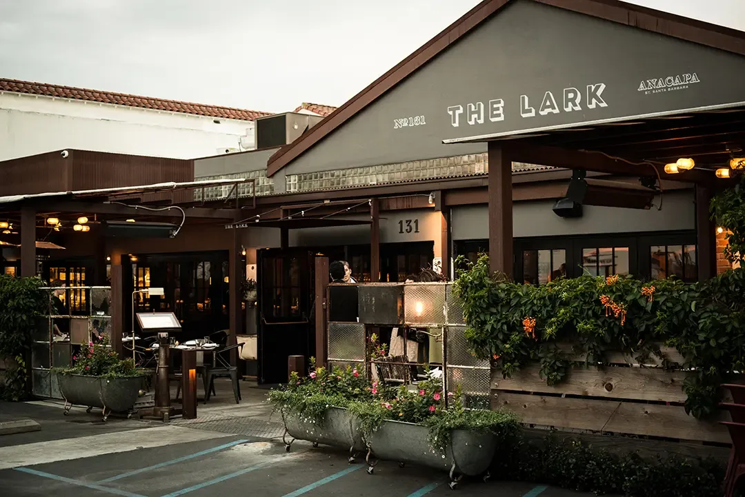 The Lark